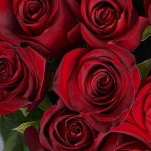 35 красных роз 50 см.