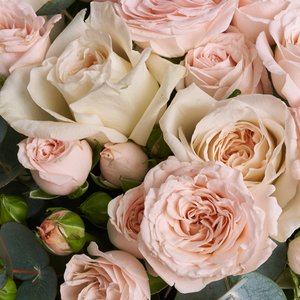 Охапка нежных пионовидных роз