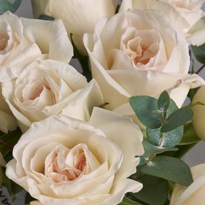 Букет белых пионовидных роз с эвкалиптом