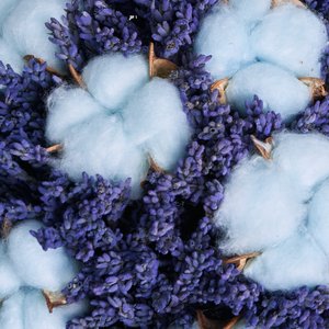 Лаванда с голубым хлопком