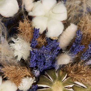 Полевой букет сухоцветов