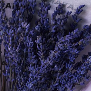 Букетик лаванды в сиреневой пленке