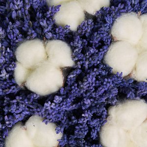 Лаванда с хлопком
