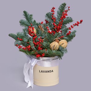 Новогодняя коробка с нобилисом, красным илексом и корицей