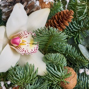 Цветочная корзина с нобилисом, шишками и орхидеей