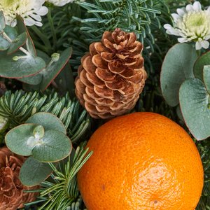 Раф пряная тыква с композицией в стаканчике из нобилиса и шишек