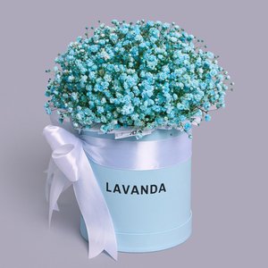 Голубые гипсофилы в голубой коробке