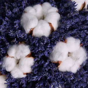 Стабилизированная лаванда с хлопком в коробке