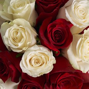 Белая коробочка Эквадорских роз