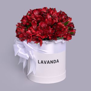 Коробочка ярких альстромерий