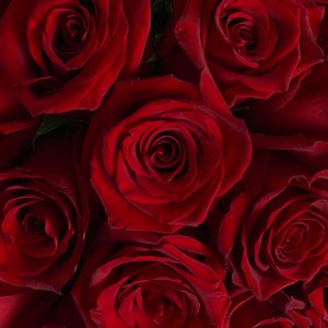 Коробочка красных роз