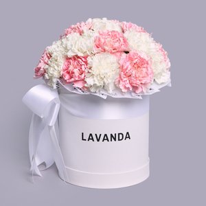 Коробочка нежных диантусов