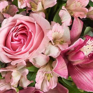 Коробочка розовых роз, альстромерий и орхидей со скимией