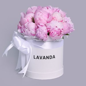 Воздушная коробочка розовых пионов