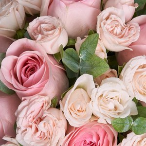 Белая коробочка летних цветов