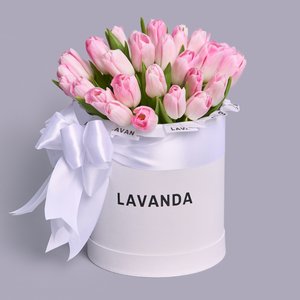 Коробочка нежных тюльпанов