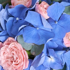 Раф лаванда с композицией в стаканчике из гортензий и кустовых роз