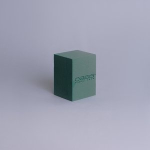 Оазис