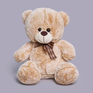 Коричневый плюшевый мишка