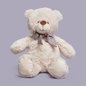 Плюшевый мишка