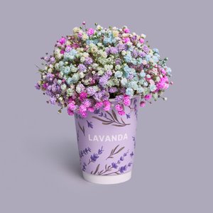 Композиция в стаканчике из цветной гипсофилы