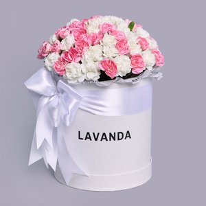 Коробочка нежных кустовых диантусов