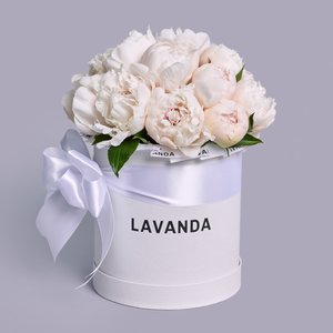 Воздушная коробочка белых пионов