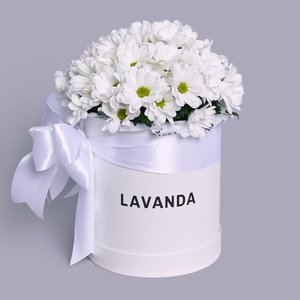 Коробочка белых ромашковых хризантем