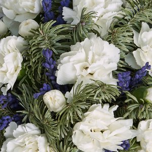 Композиция в стаканчике из нобилиса и диантусов