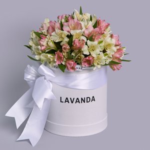 Коробочка нежных альстромерий