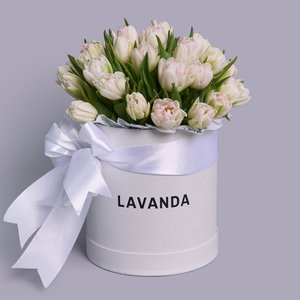 Коробочка нежных пионовидных тюльпанов