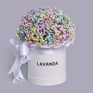 Коробочка разноцветных гипсофил