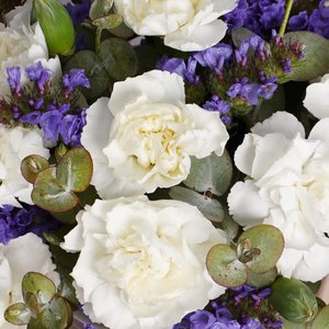 Композиция в стаканчике с белыми диантусами