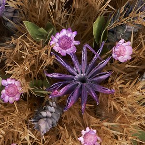 Композиция сухоцветов в металическом кашпо