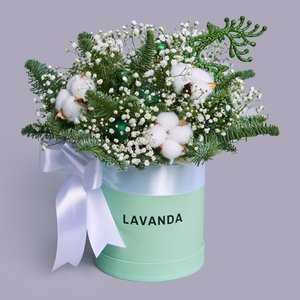 Зеленая коробочка цветов с нобилисом