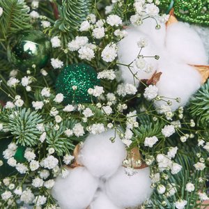 Зеленая коробочка цветов с нобилисом