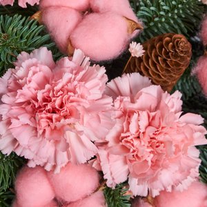 Диантусы с шишками и нобилисом в розовом ящике