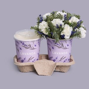 Латте можжевельник и композиция в стаканчике из нобилиса и диантусов