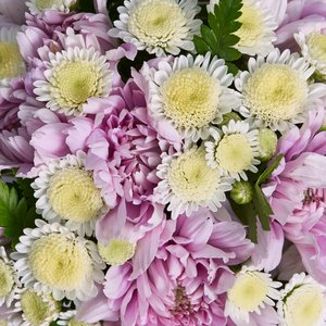 Композиция в стаканчике из хризантем