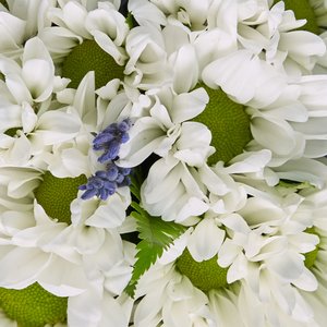 Композиция в стаканчике из белой хризантемы