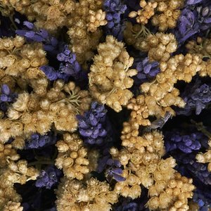 Композиция в стаканчике из лаванды и иммортель