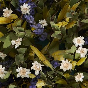 Сухоцветы в металическом кашпо