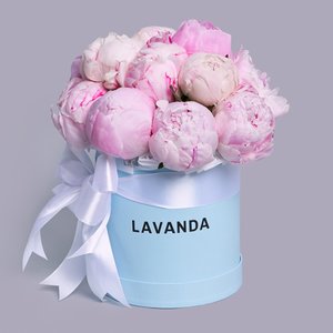 Розовые пионы в голубой шляпной коробке