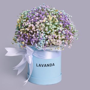 Голубая коробочка разноцветных гипсофил