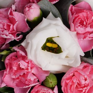 Раф с композицией в стаканчике из розовых диантусов и белых эустом