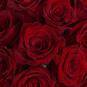 Коробочка алых роз