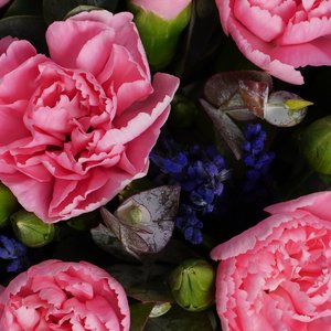 Композиция в стаканчике с розовыми диантусами