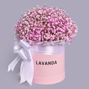 Розовые гипсофилы в розовой коробке