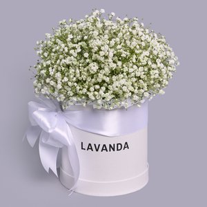 Белые гипсофилы в белой коробке