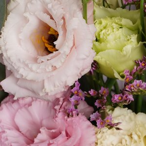 Полевая свежесть